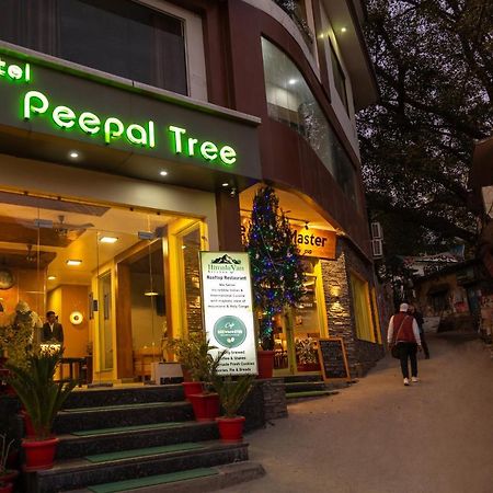Hotel Peepal Tree Рішикеш Екстер'єр фото